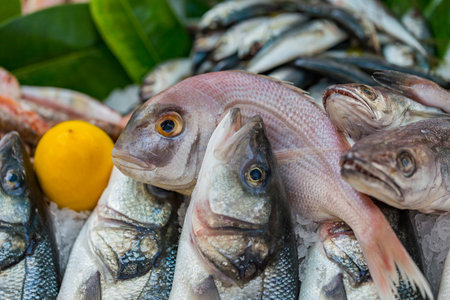 A variety of fish on the market stallの写真素材
