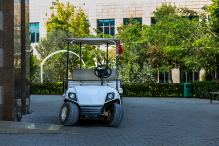 electric golf cart, freight transport