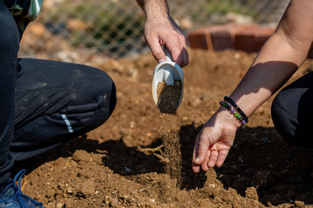 Hands sowing seeds into the soil.