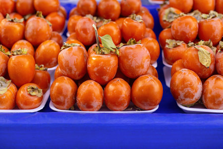 Diospyros kaki, the Oriental persimmon, Chinese persimmon, Japanese persimmon or kaki persimmon, is the most widely cultivated species of the genus Diospyros.の写真素材