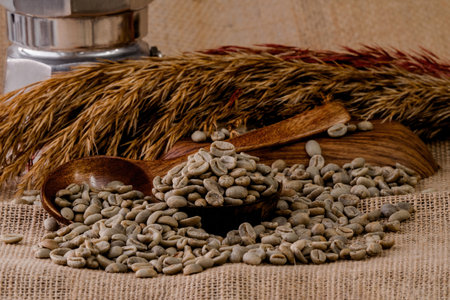 Nicaragua Shg Ep Arabica Raw Coffee Bean. green coffeeの写真素材