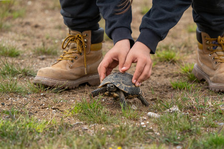 The boy who released the turtle he found on the road to the nature in Turkeyの写真素材