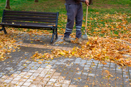 cleaning autumn leaves with a broom and a man in the park