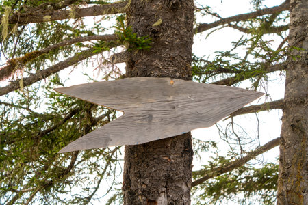Wooden directional sign attached to a pine tree in Turkeyの写真素材