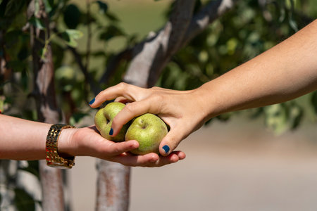 A woman's hand reaches for the fruits she has picked.