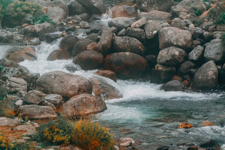 Natural spring water flowing from the mountains. Stream and stones.の写真素材