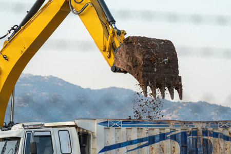 Large other loading a lorry.