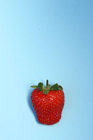 Strawberry fruit set down on blue backgroundの写真素材