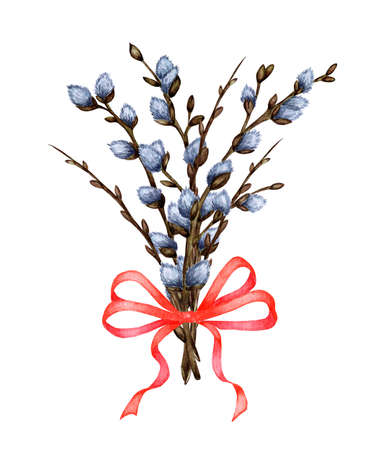 Watercolor illustration of a bouquet of willow twigs tied with a red ribbon. Religion, tradition, Easter. Easter bouquet isolated on white background. Drawn by hand.のイラスト素材