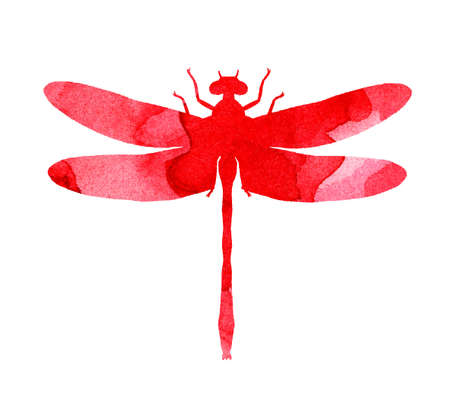 Watercolor illustration of a red abstract dragonfly with paint stripes. Cute funny insect print. A winged insect with large eyes. Isolated over white background. Drawn by hand.のイラスト素材