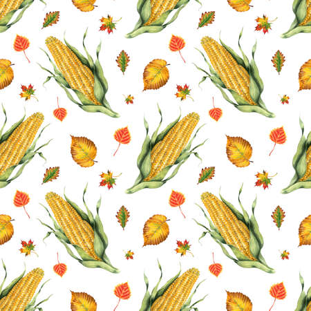Watercolor seamless pattern of corn and leaves. Hand painted food isolated on white background. Autumn harvest festival. Botanical illustration for design, print or background.のイラスト素材