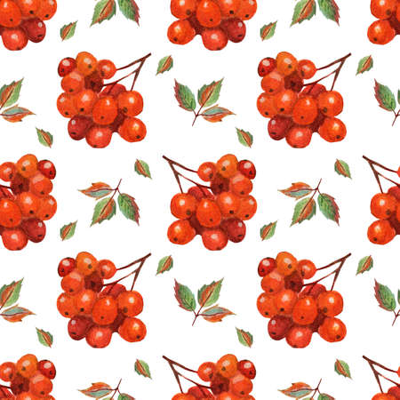 Watercolor painting of rowan and leaf pattern. Seamless repeating autumn print of bunch of berries and leaves. Perfect for wallpapers, gift papers, patterns, web page backgrounds, autumn greeting cards.のイラスト素材