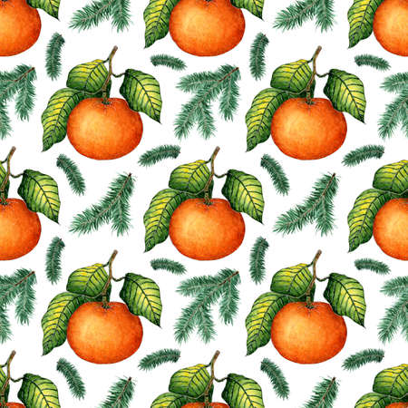 Watercolor painting pattern of ripe tangerine with green leaves and spruce branches. Seamless repeating juicy citrus print. Winter seasonal fruits. Vitamin food isolated on white background. hand-drawn.のイラスト素材