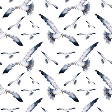 Watercolor drawing pattern of a realistic seagull. Seamless repeating print of stylized seagulls. Nautical background with minimalist ornament. Sea life, flying birds. isolated on white background.のイラスト素材