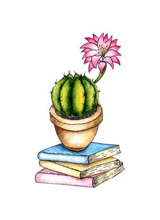 Watercolor illustration of a cactus in a pot stands on the books. It's perfect for postcards, posters, banners, invitations, greeting cards, prints. isolated on white background. Drawn by hand.のイラスト素材