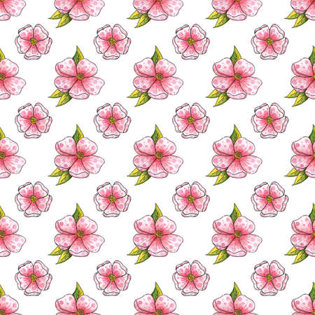Watercolor illustration of pink flowers pattern. It's perfect for postcards, posters, banners, invitations, greeting cards, prints. isolated on white background. Drawn by hand.のイラスト素材