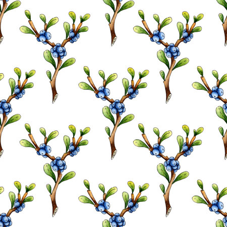 Watercolor illustration pattern doodle blueberry twig with berries. Agriculture, eco friendly, organic farm. For the design of design compositions on the theme of tourism, hiking, outdoor recreation.のイラスト素材
