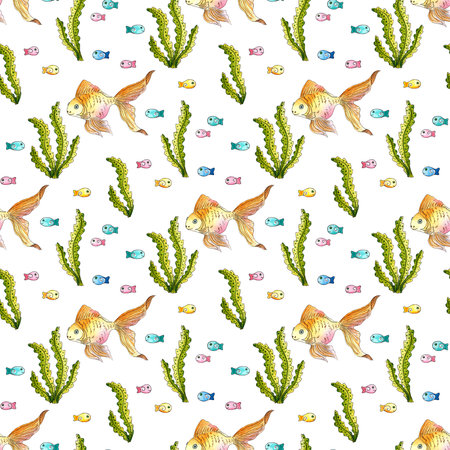 Watercolor illustration pattern of goldfish, algae and small colorful fish. Seamless repeating print of aquarium fishes, tropical inhabitants of the seas. Isolated, hand drawn.の写真素材