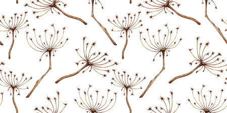 Dried flower herb with umbrella inflorescences pattern watercolor illustration. Dry stem decoration...