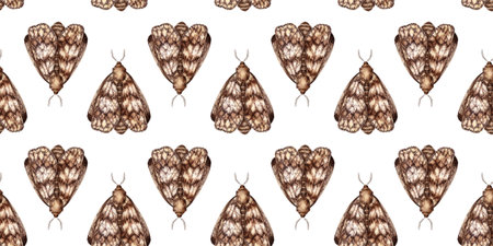 Gray-brown moth, with folded wings watercolor illustration. Insect Lepidoptera, isolated from the background. Pattern is ideal for textiles, wallpaper, wrapping paper.の写真素材