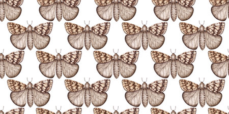 Gray-brown moth, with wings spread watercolor illustration. Lepidoptera insect, isolated from background. Pattern is ideal for textiles, wallpaper, wrapping paper.の写真素材