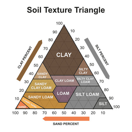 Soil Texture Triangle. Biological Earth Structure. Soil Chart Percent Category. Vector Illustration.のイラスト素材