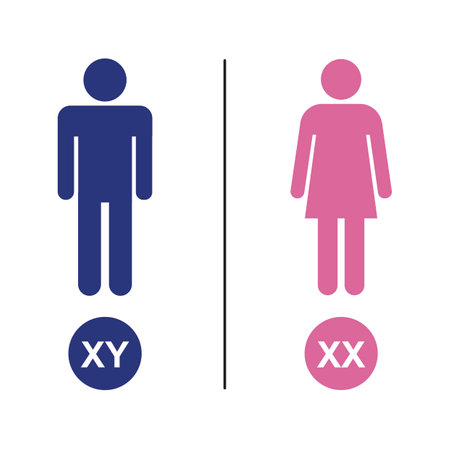 Colorful Illustration Of Human Sex Determination. XY Sex Determination System. X And Y Chromosomes. Vector Illustration.のイラスト素材