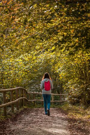 Walking among the leaves in autumnの写真素材