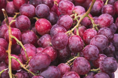 Stock photo of a close-up of a large bunch of fresh purple grapes at a market stallの写真素材