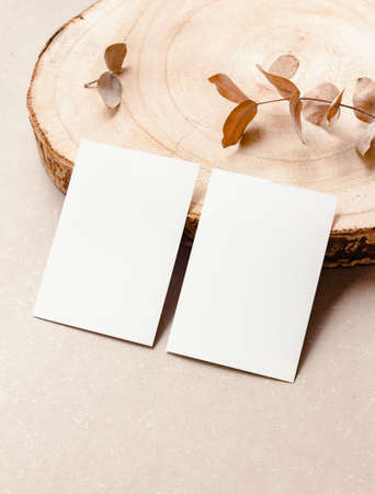 Two vertical business cards mock up for design template. Blank visit card mockup front and back with natural colors. Branding conceptの写真素材