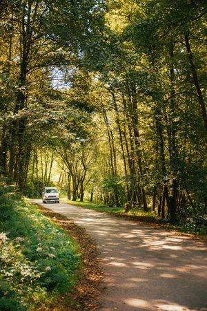 A camper van traveling along a path between leafy trees. Van road trip holiday and outdoor summer adventure. Nomad lifestyle conceptの写真素材