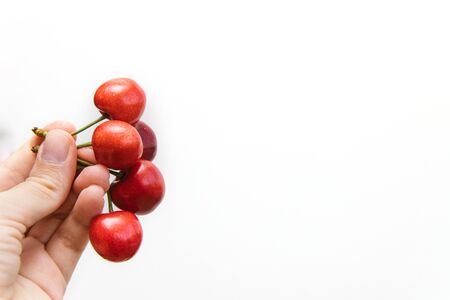 A hand holds several cherries on a white background. Red ripe cherries.Space for text.の写真素材