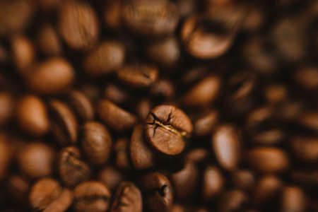 Coffee bean background. Dark-colored roasted coffee beans.の写真素材