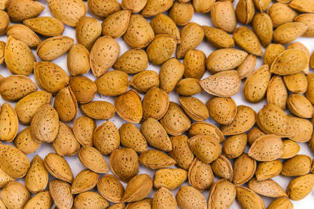 Inshell almonds on a white background. Almonds are laid out as a background or texture.の写真素材
