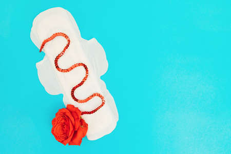 Female padding on a blue background.Medical concept photo.Gynecological menstrual cycle. Women's...