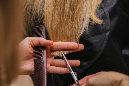A young woman cuts her hair with scissors. The girl combs her hair. Professional hair care products.Haircut in a beauty salon.の写真素材
