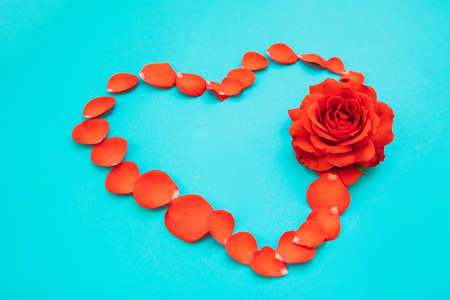 Heart of red rose petals on a blue background. Valentine's day. Flower arrangement. The background of Valentine's day.の写真素材
