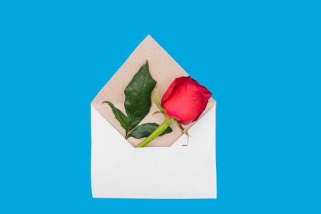 Red rose in a white envelope on a blue background. Gift for March 8 and Valentine's day. A letter with a flower.の写真素材