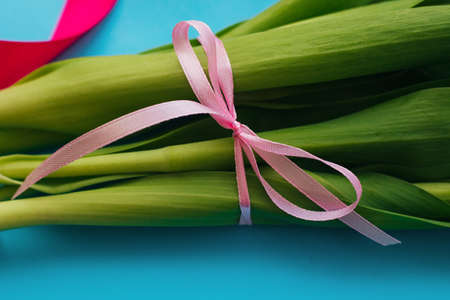Green tulip leaves close-up tied with a pink ribbon. Background and texture. The work of a florist. Spring background.Bouquet packaging.の写真素材