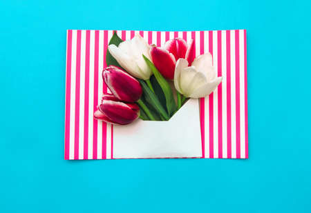 Pink tulips in an envelope on a blue background. Valentine's Day, Mother's Day, or March 8. A...