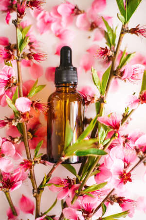Cosmetic oil in a container with an eyedropper on the background of peach flower petals. Essential oil for aromatherapy. The bottle is brown. Peach branch flowers are scattered on a white background.の写真素材