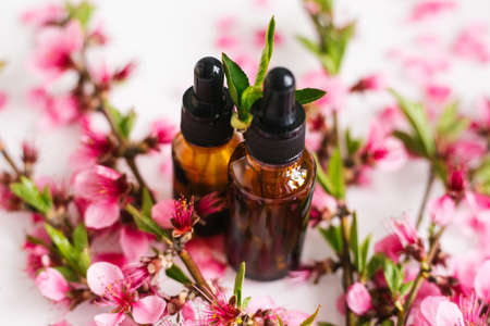 Cosmetic oil in a container with an eyedropper on the background of peach flower petals. Essential oil for aromatherapy. The bottle is brown. Peach branch flowers are scattered on a white background.の写真素材