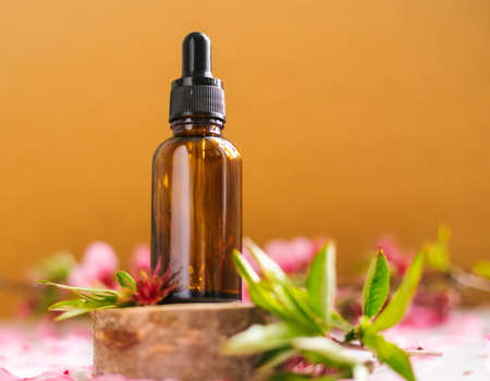 Cosmetic oil in a container with an eyedropper stands on a podium made of a cut tree. Essential oil for aromatherapy.Composition of natural materials.の写真素材