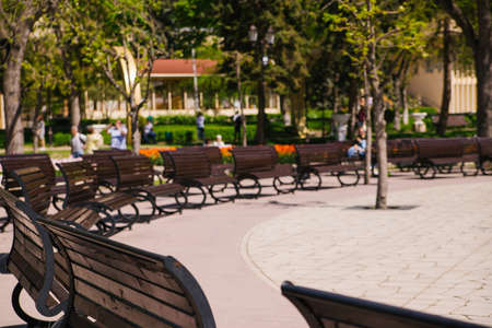 Wooden benches stand in a semicircle in the city park. Empty benches stand in the bright sun during the day. A place of rest and relaxation. The benches are made of wood and metal.の写真素材