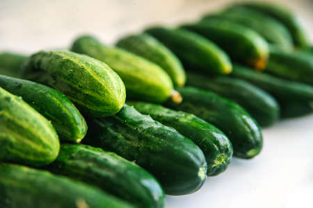 Background of green fresh cucumbers. Cucumbers lie exactly in a row on a white background. Natural texture. Agricultural industry. Harvesting.の写真素材