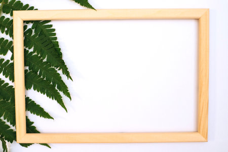 A romantic composition of green leaves. A green fern leaf and a photo frame on a white background....