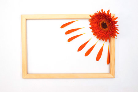 A romantic composition of gerbera flowers. Orange flower and photo frame on a white background. Valentine's Day, Easter, Birthday, Happy Women's Day, Mother's Day.Top view.の写真素材