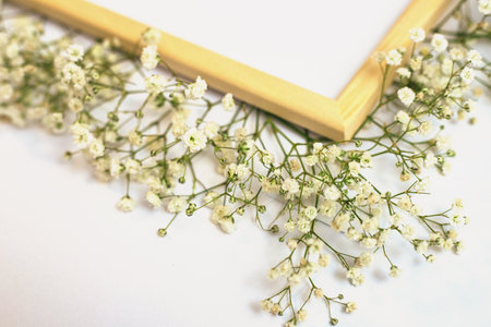 A romantic composition of flowers. White gypsophila flowers on a white background. Valentine's Day, Easter, Birthday, Happy Women's Day, Mother's Day.Top view.の写真素材