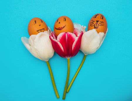 Easter eggs with painted faces and smiles in pink tulips on a blue background. The concept of the...