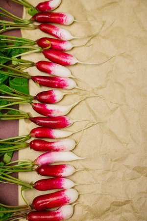 Freshly picked red radish on crumpled kraft paper lies in a row. Growing vegetables, harvesting. Healthy food background with space for text.の写真素材